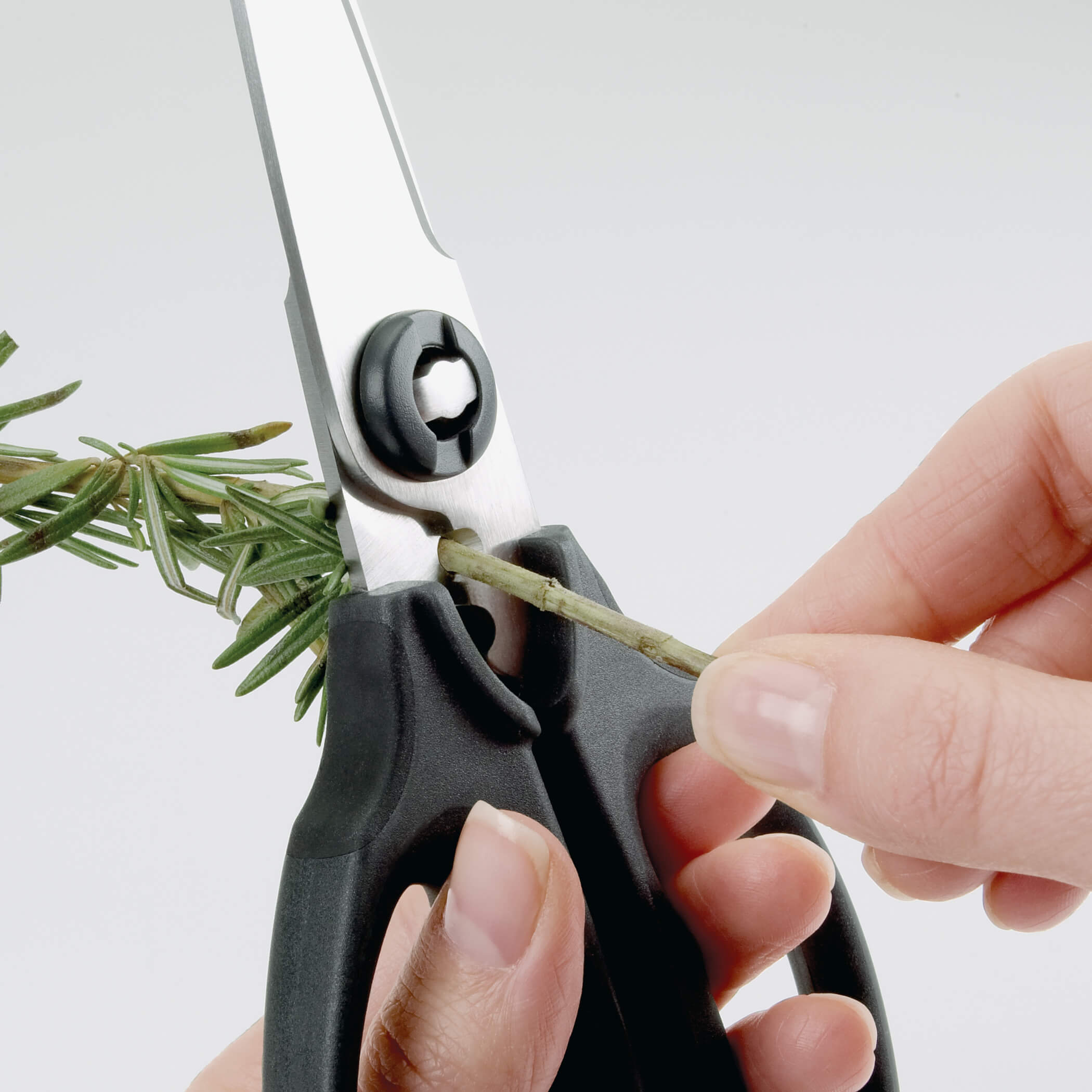 Kitchen And Herb Scissors